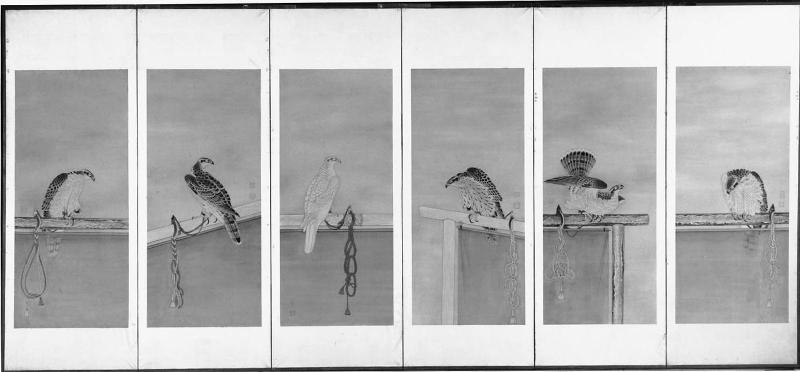 Tethered Hawks