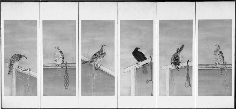Tethered Hawks