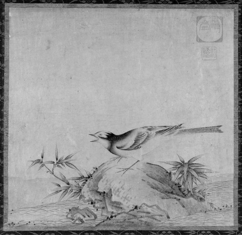 Wagtail, Rock, and Bamboo