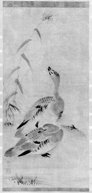 Geese and Reeds
