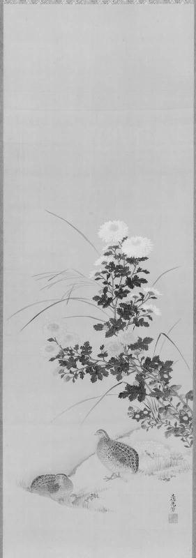 Quail and Chrysanthemums