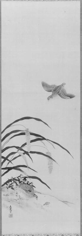 Quail and Millet