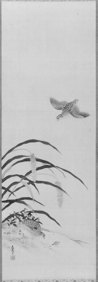 Quail and Millet