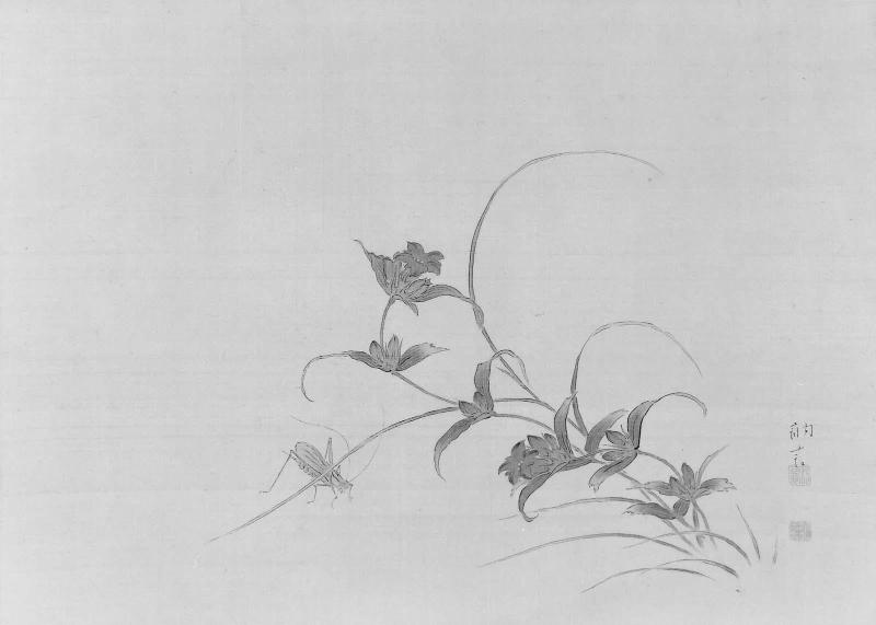 Insect on Gentians