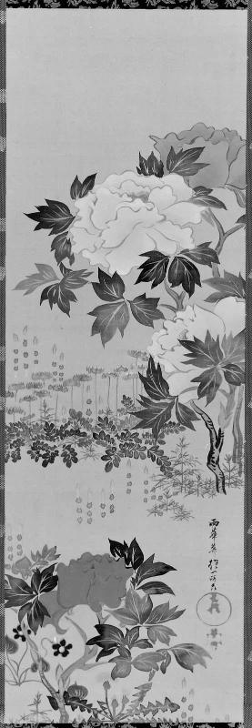 Spring Flowers