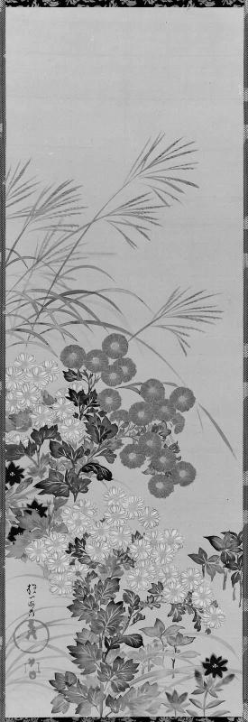 Autumn Flowers and Grasses