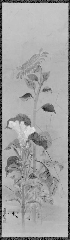 Sunflowers and Coxcomb