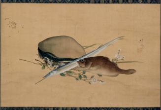 Fish and Abalone Shell