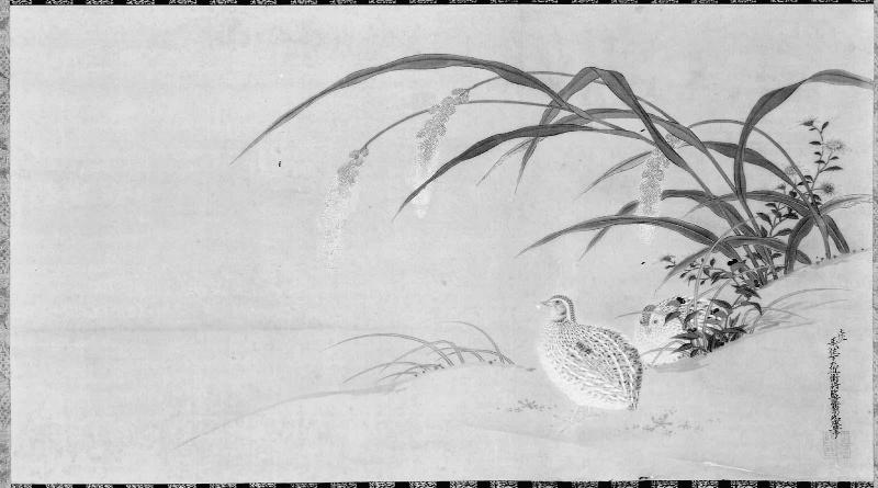 Quail and Millet