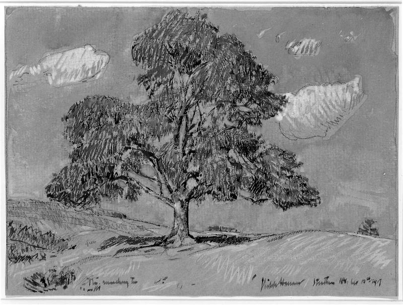 The Rum Cherry Tree