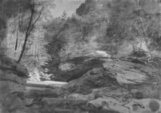 Upper Reaches of the River