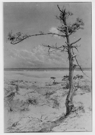 The Lone Pine