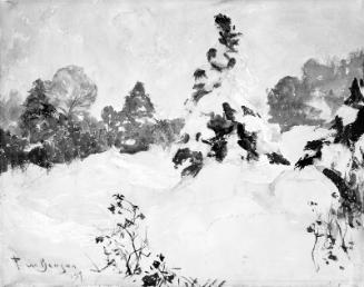 Snowladen Spruce