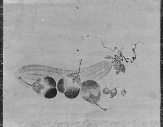 Bitter Melon and Eggplants