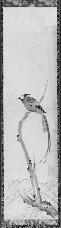 Bird on Branch