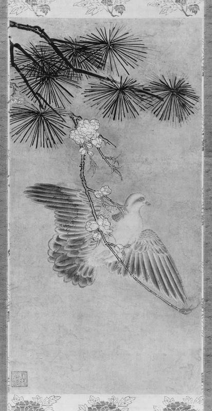 Dove, Pine, and Plum