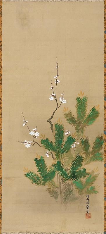 Pine and Plum