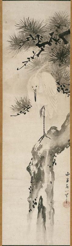 Egret in a Pine Tree