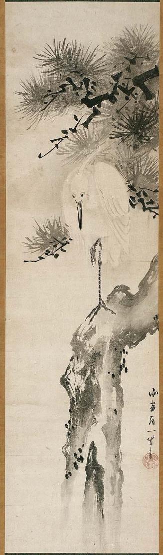 Egret in a Pine Tree