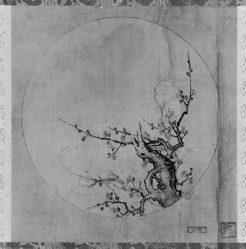 Plum Tree