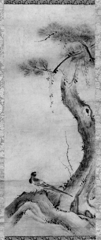 Bird and Pine Tree