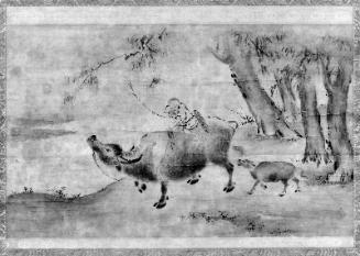 Herder and Oxen