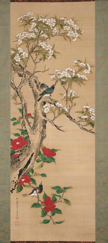 Camellias, Pear Blossoms, and Siberian Blue Robins