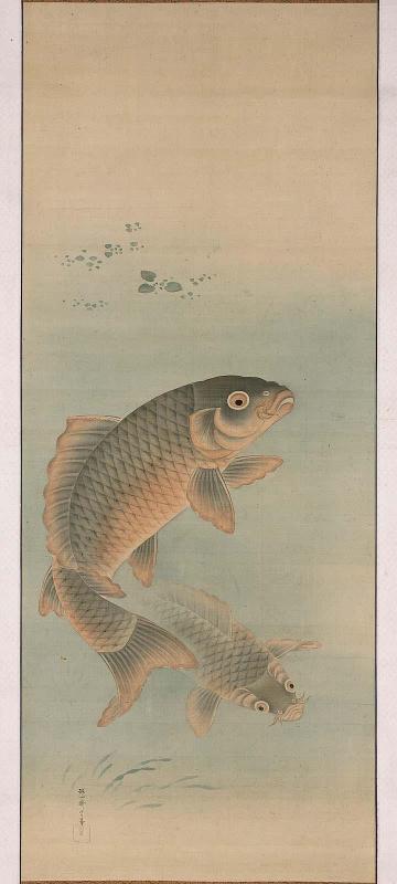 Carp
