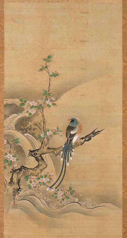 Long-tailed Bird in Chokeberry Bush