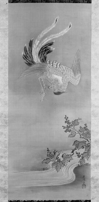 Phoenix