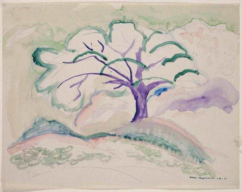 Large Tree on Hillside
