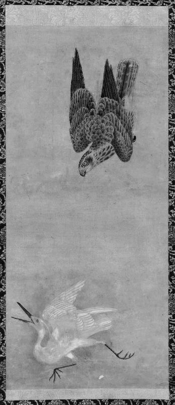 Hawk Chasing an Egret