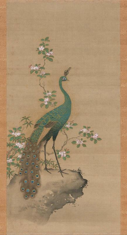 Peacock and Peach Blossoms