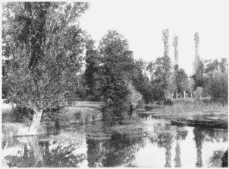 Moulin de Papillon, Loir et Cher