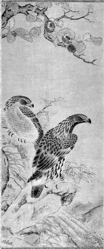 Hawks
