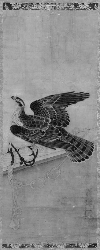 Tethered Hawk