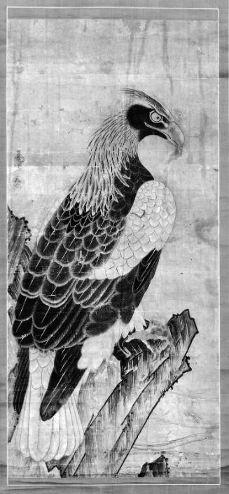 Eagle