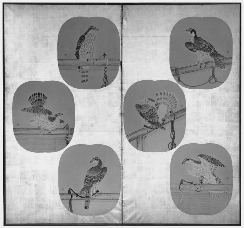 Tethered Hawks