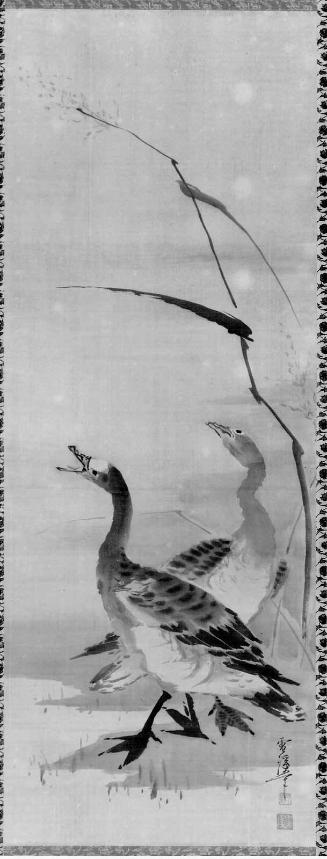 Geese and Reeds