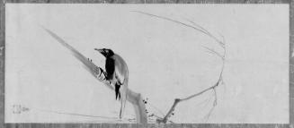 Birds on Willow Branches