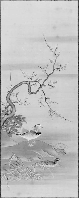 Mandarin Ducks and Plum Blossoms