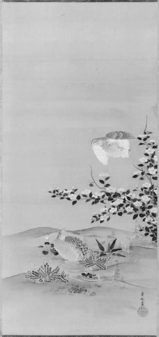 Quail and Flowers
