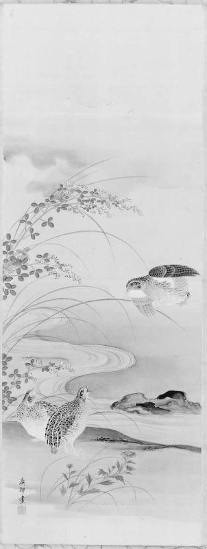 Quail and Bush Clover