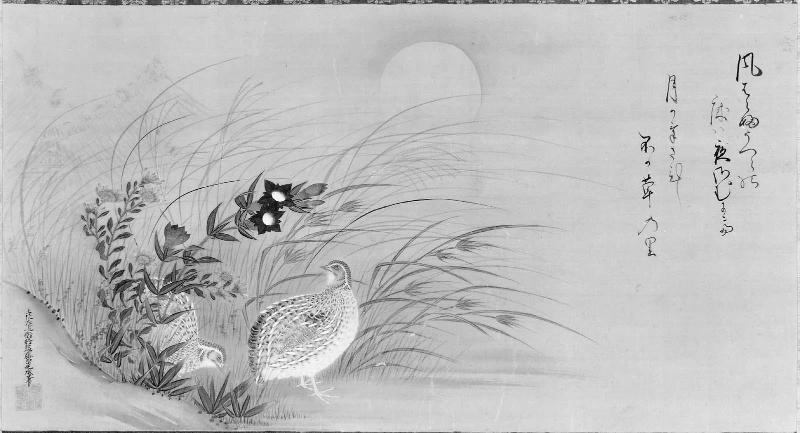 Quail and Autumn Grasses