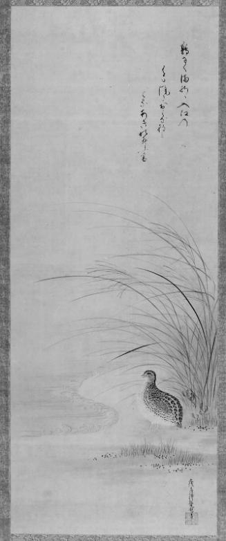 Quail at the Water's Edge