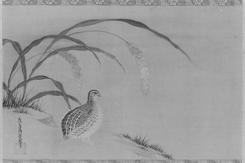 Quail and Millet