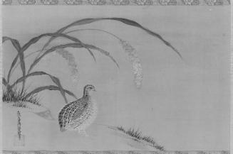 Quail and Millet
