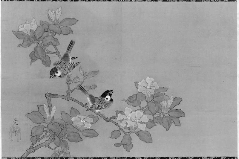 Sparrows and Dogwood