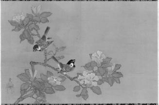 Sparrows and Dogwood
