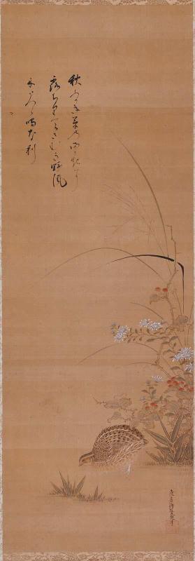 Quail and Autumn Grasses